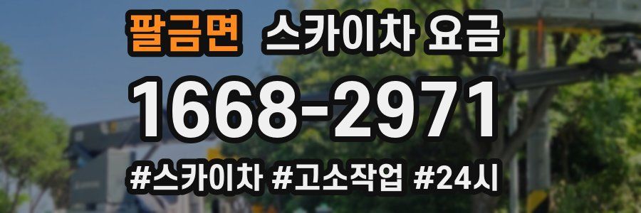 팔금면 스카이차 요금