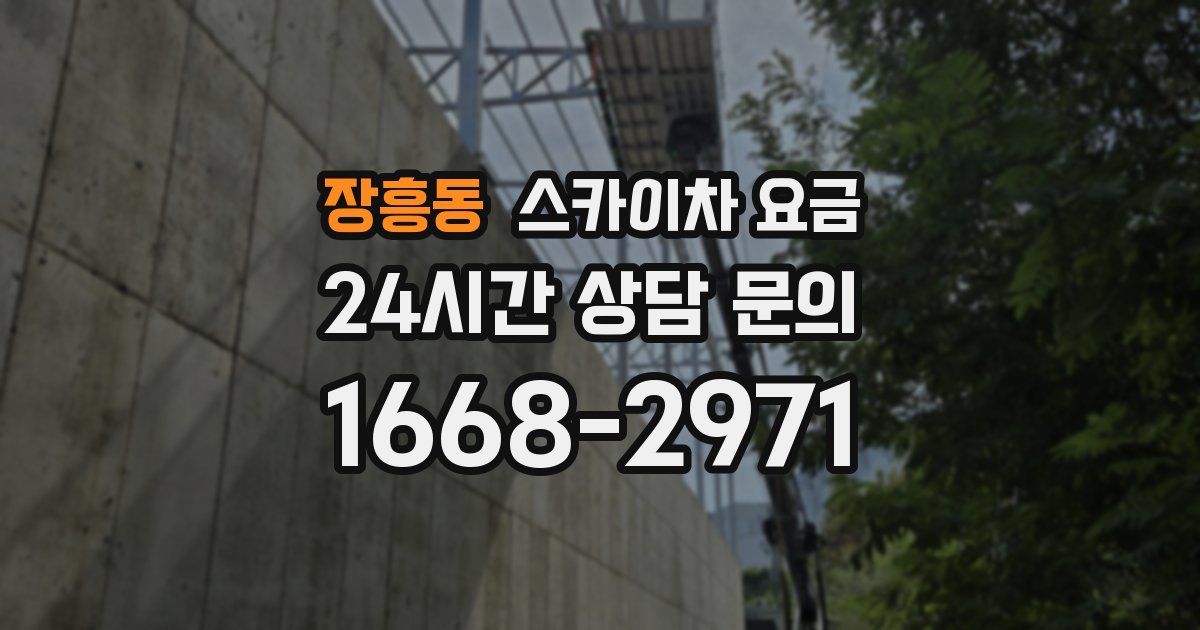장흥동 스카이차 요금
