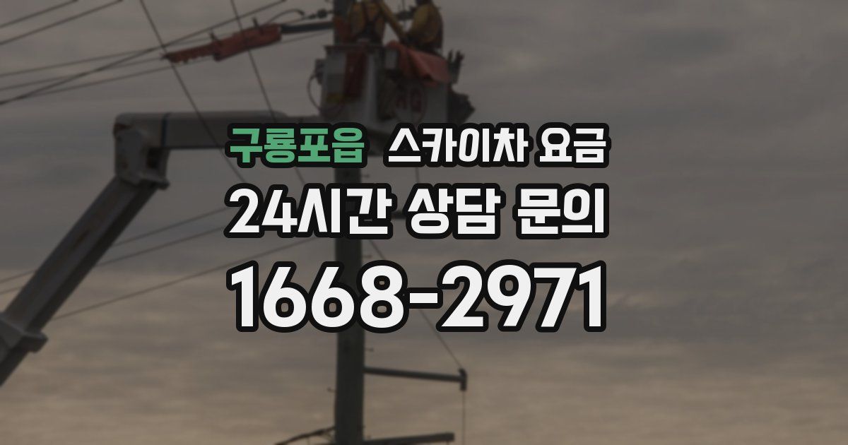 구룡포읍 스카이차 요금
