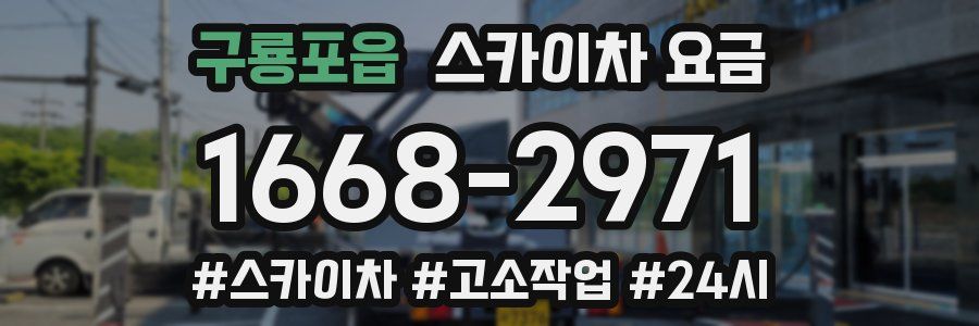 구룡포읍 스카이차 요금