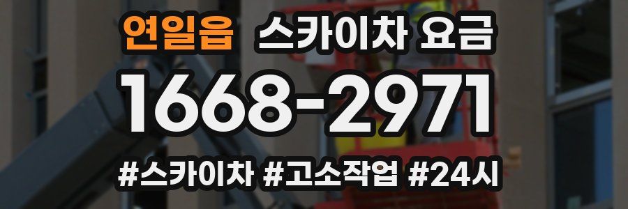 연일읍 스카이차 요금