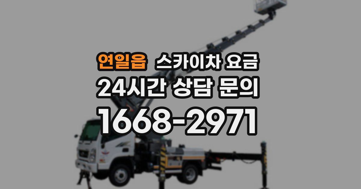 연일읍 스카이차 요금