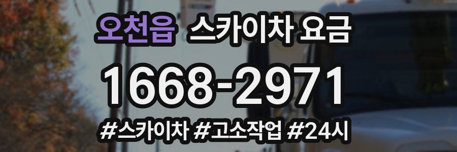 오천읍 스카이차 요금