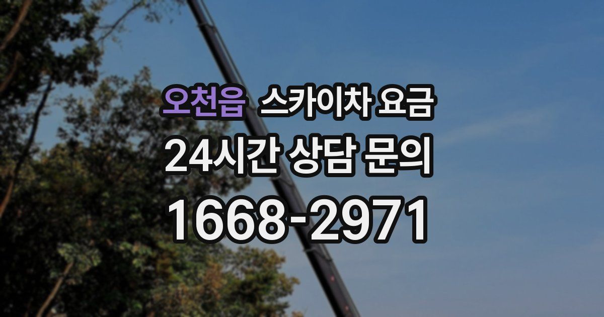 오천읍 스카이차 요금