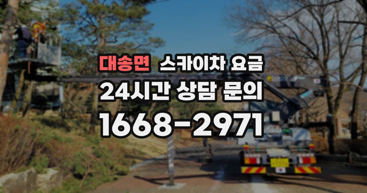 대송면 스카이차 요금