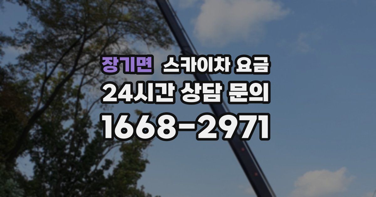 장기면 스카이차 요금