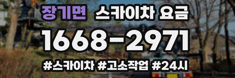 장기면 스카이차 요금