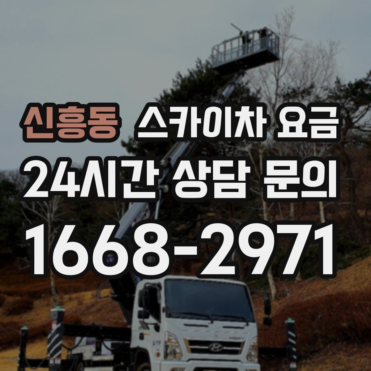 신흥동 스카이차 요금