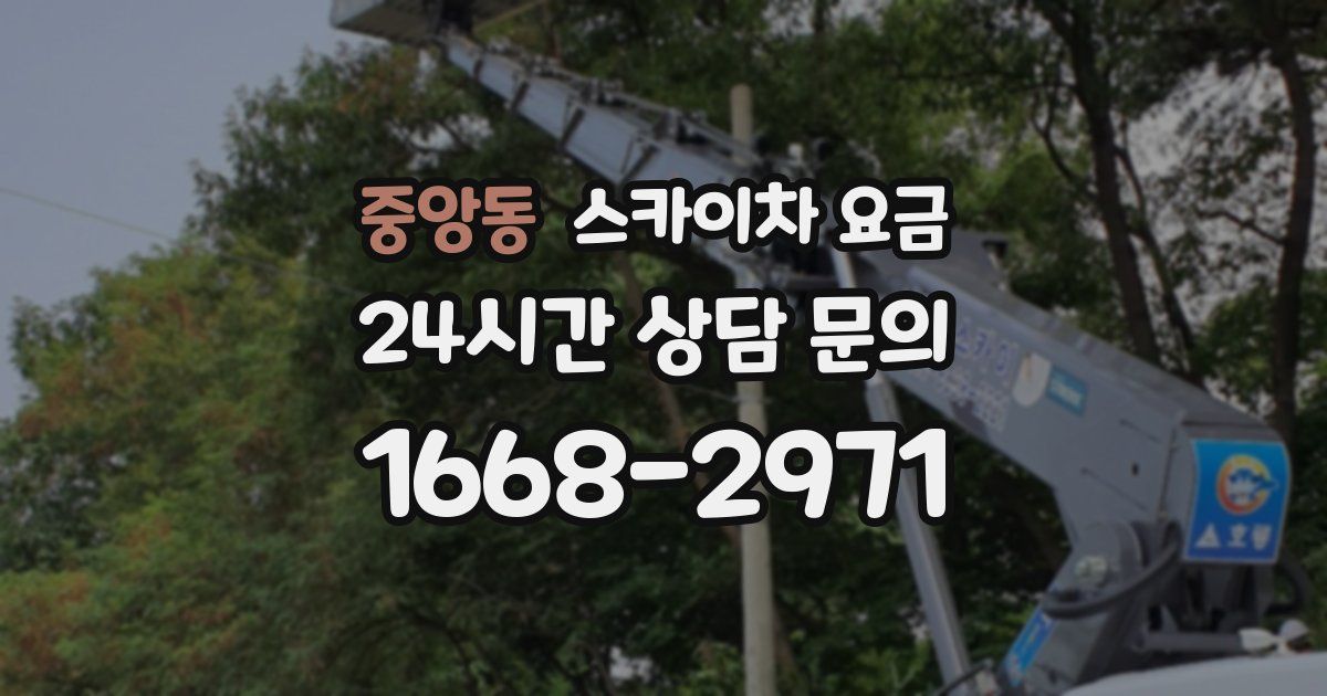중앙동 스카이차 요금