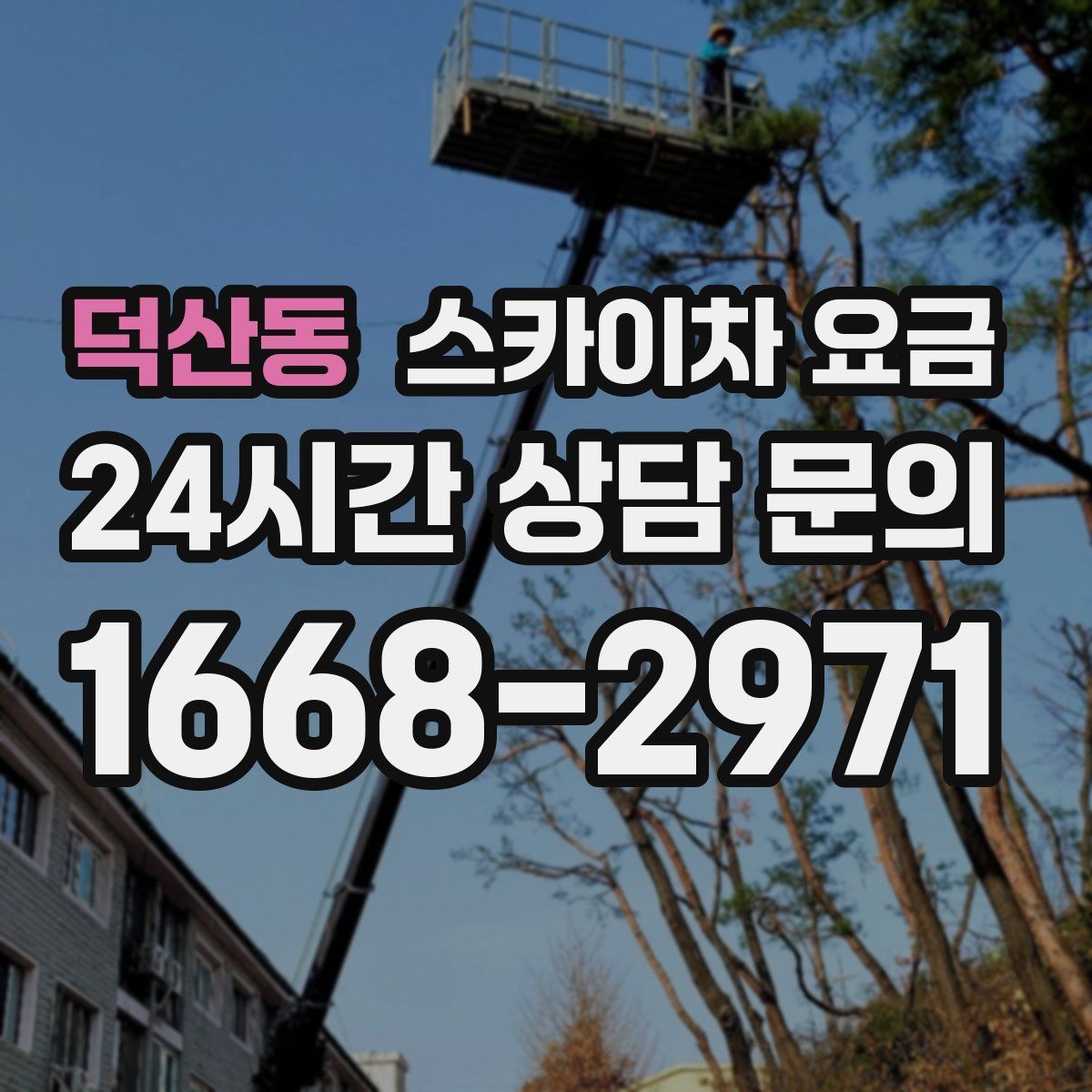덕산동 스카이차 요금