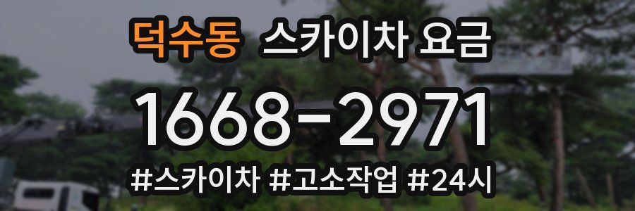 덕수동 스카이차 요금