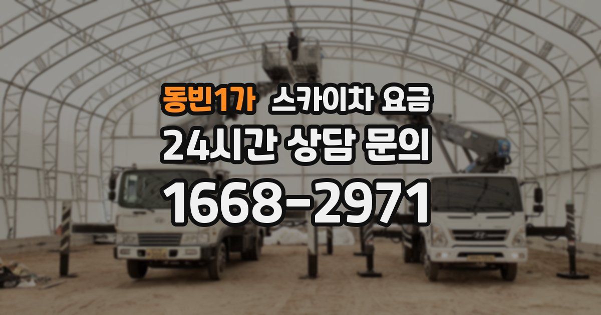 동빈1가 스카이차 요금