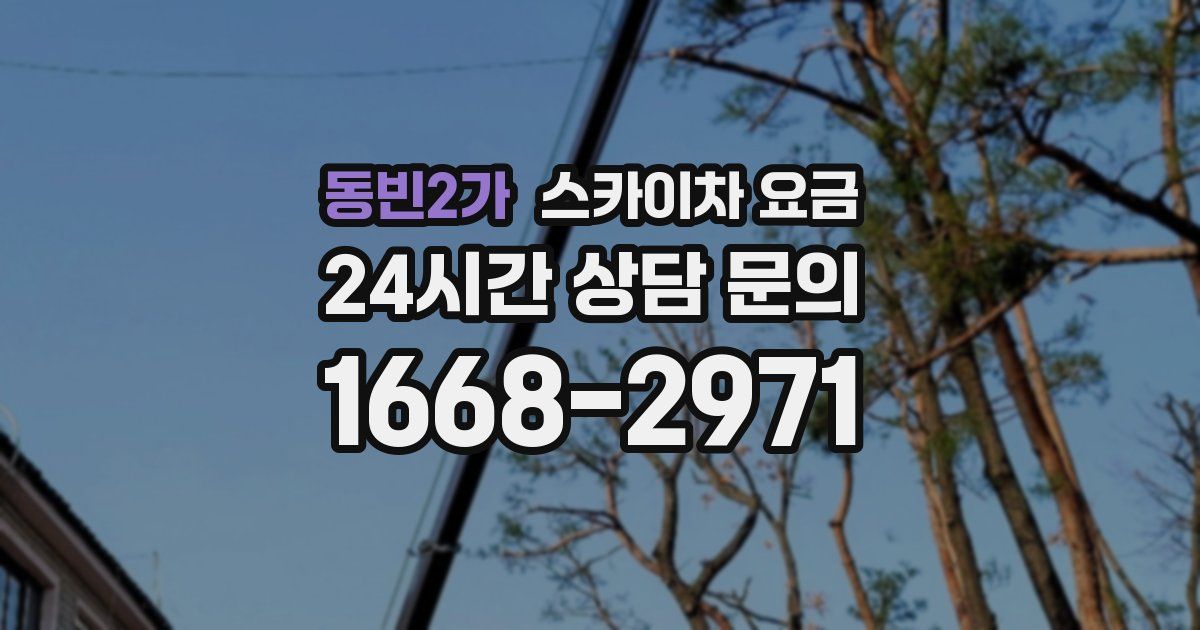 동빈2가 스카이차 요금