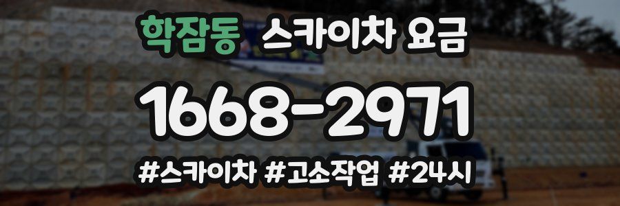 학잠동 스카이차 요금