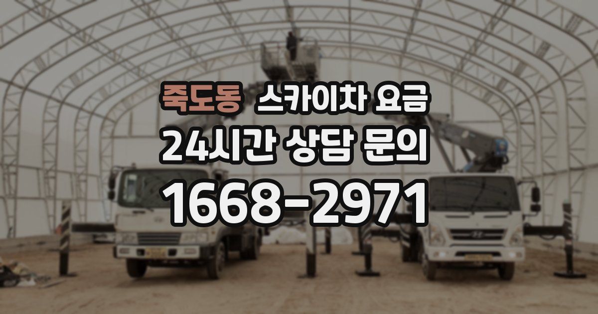 죽도동 스카이차 요금