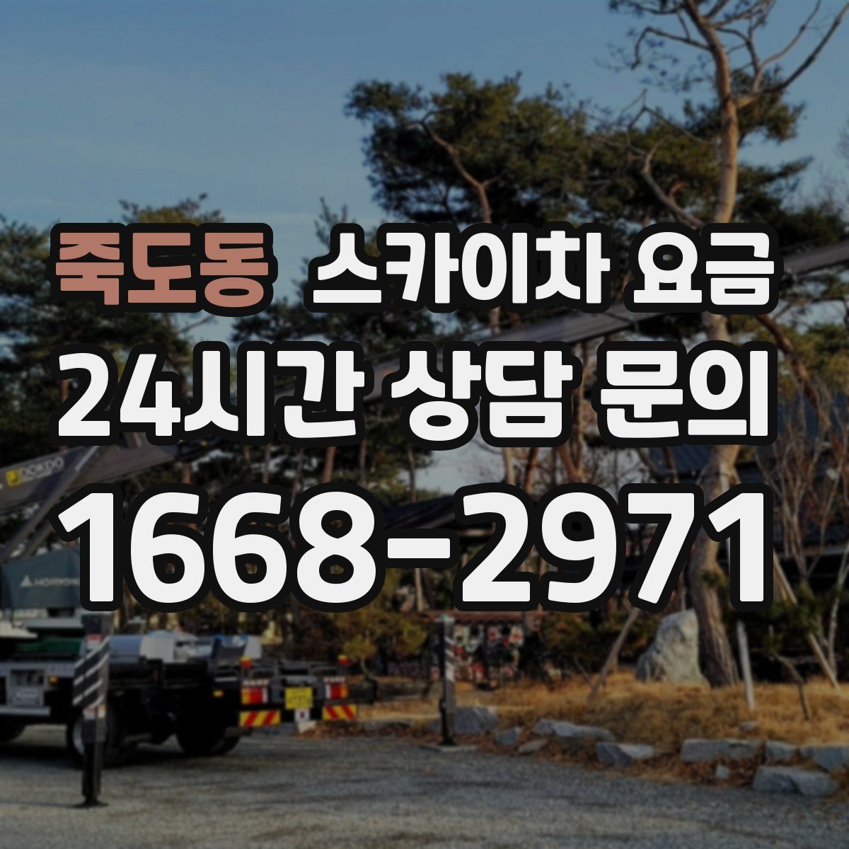 죽도동 스카이차 요금