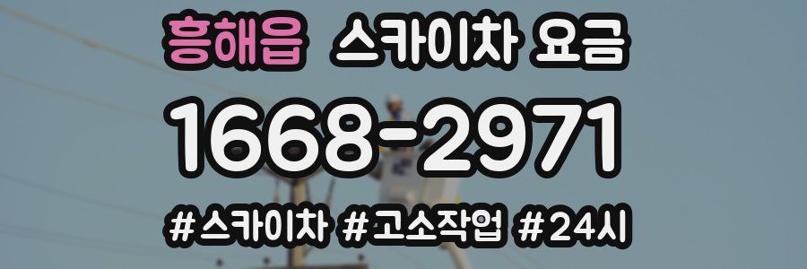 흥해읍 스카이차 요금