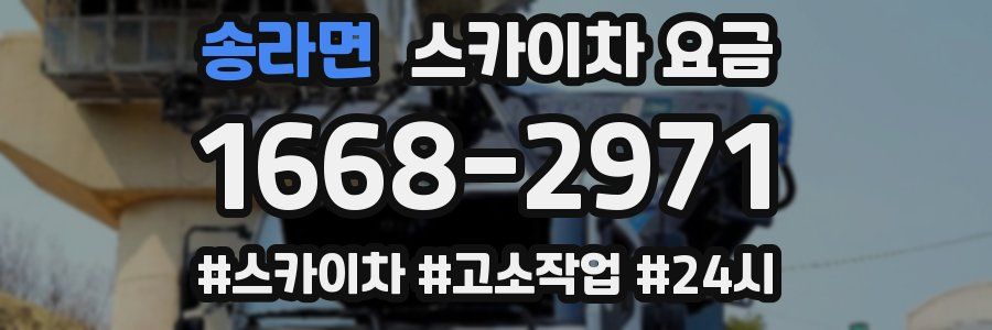 송라면 스카이차 요금