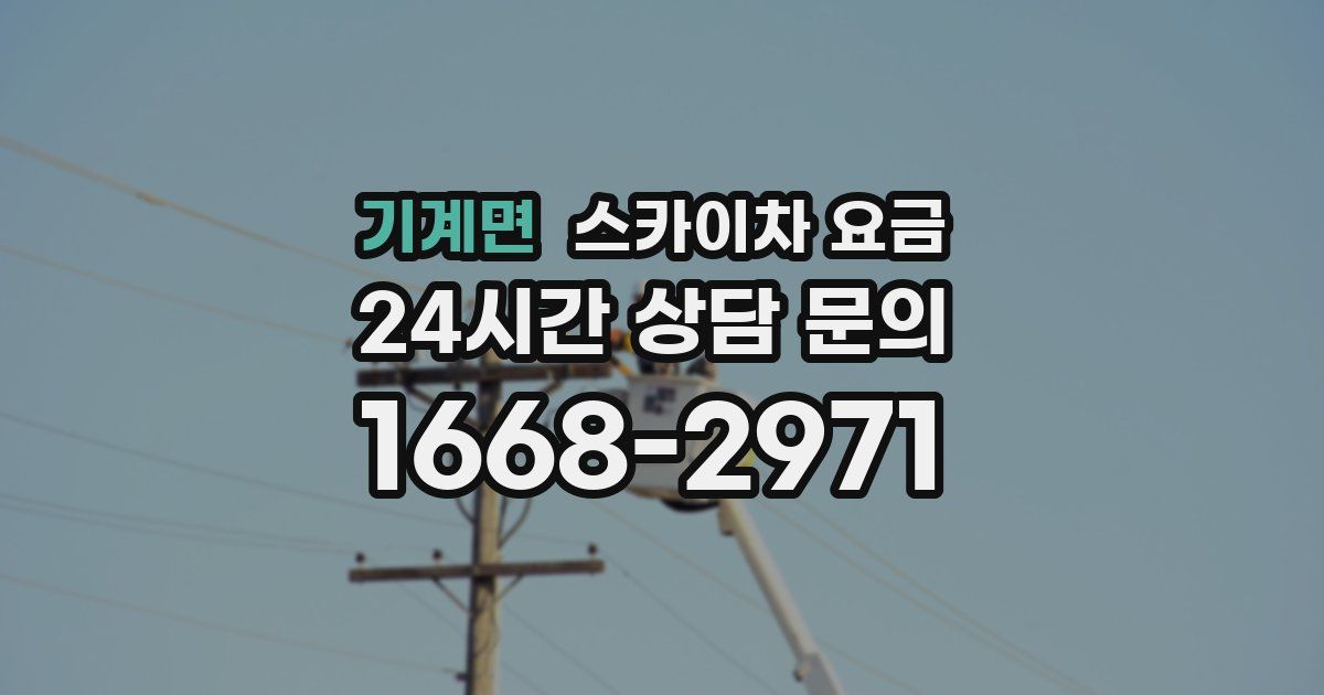 기계면 스카이차 요금