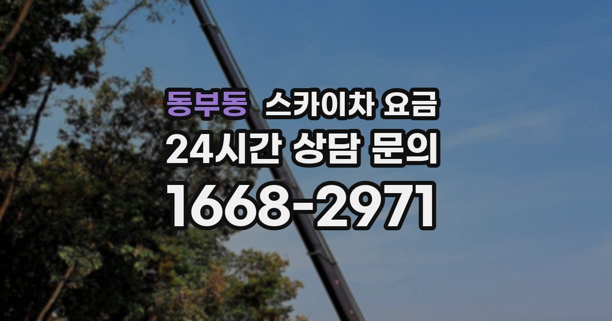 동부동 스카이차 요금