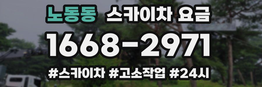 노동동 스카이차 요금