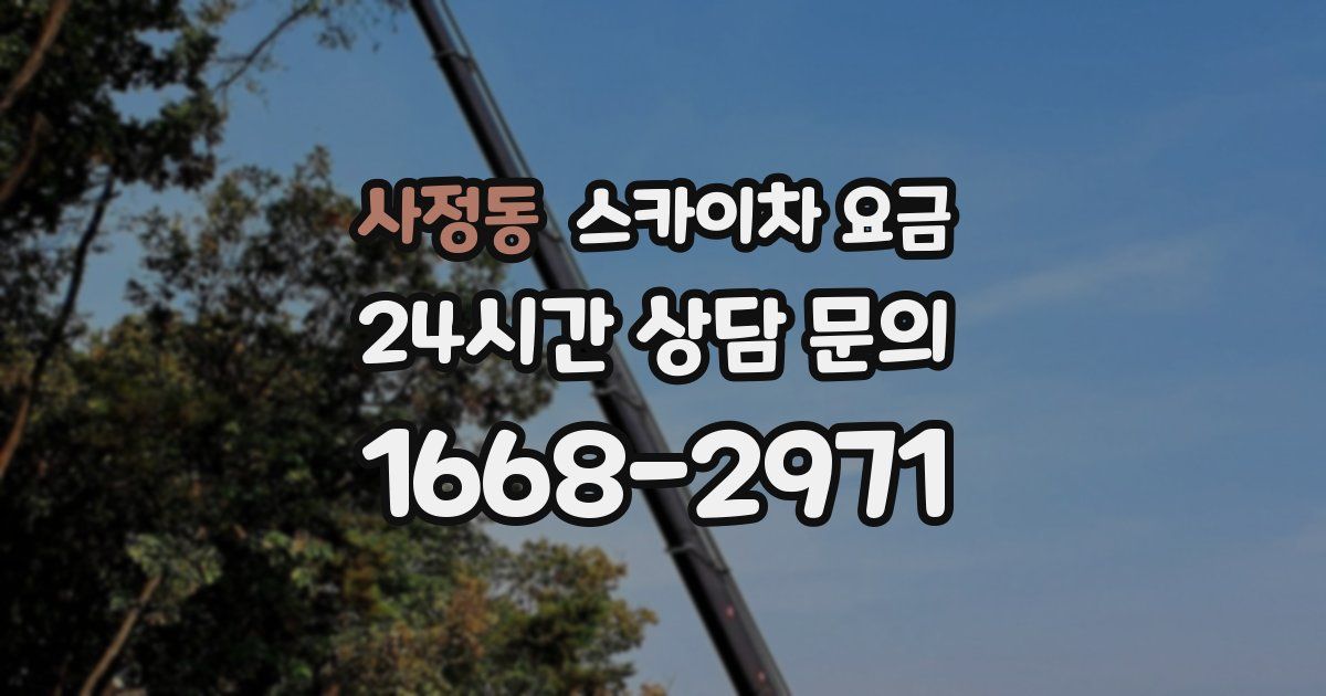 사정동 스카이차 요금
