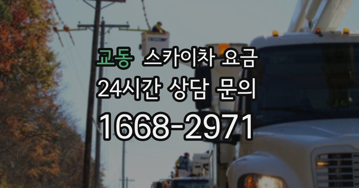교동 스카이차 요금