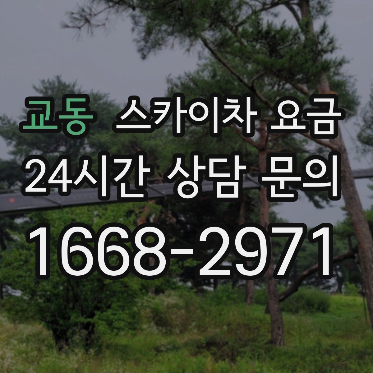 교동 스카이차 요금