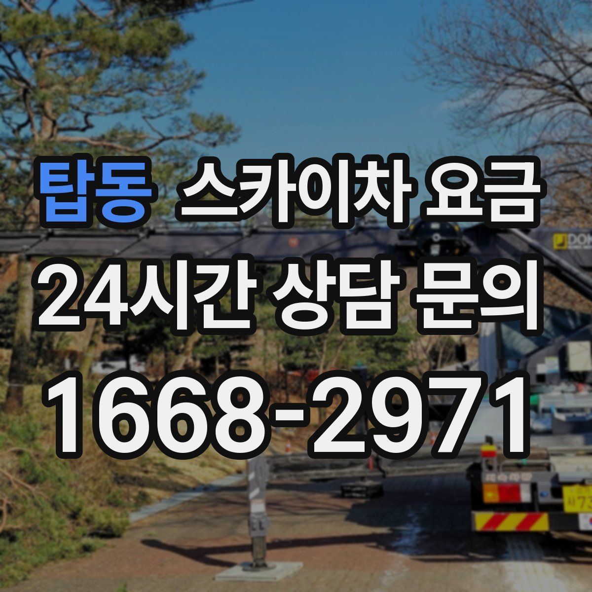 탑동 스카이차 요금