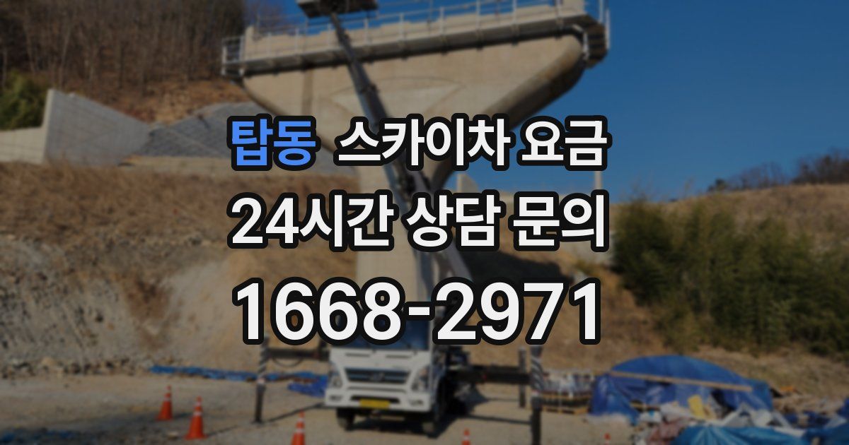 탑동 스카이차 요금
