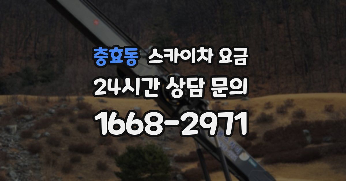 충효동 스카이차 요금