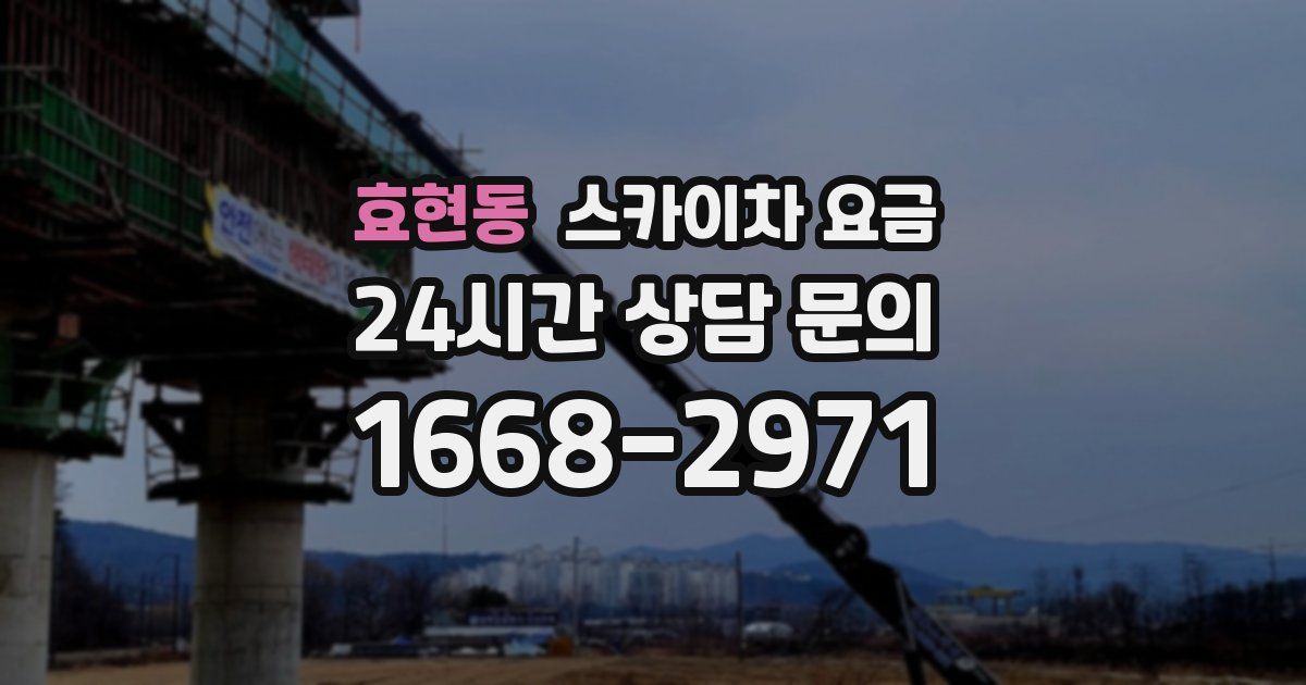 효현동 스카이차 요금