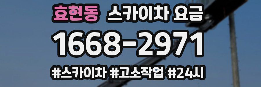 효현동 스카이차 요금