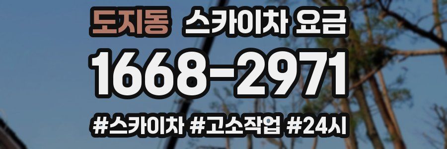 도지동 스카이차 요금