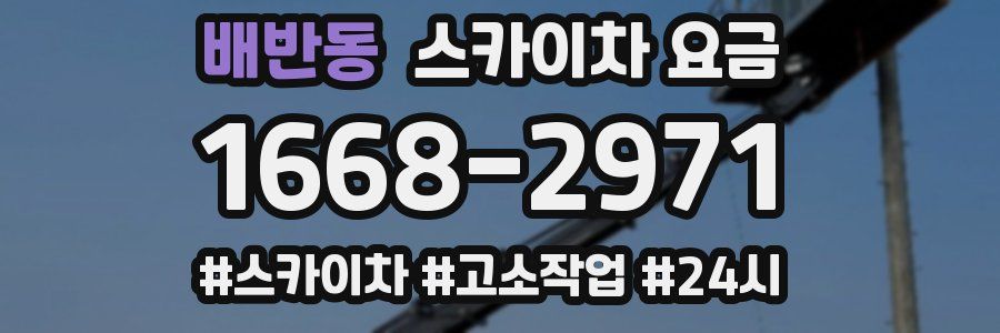 배반동 스카이차 요금