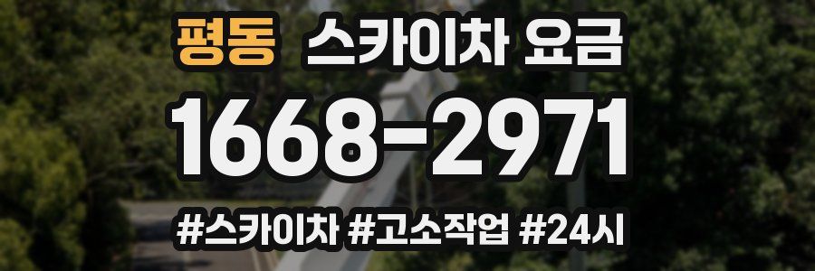 평동 스카이차 요금