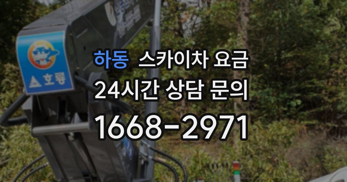 하동 스카이차 요금