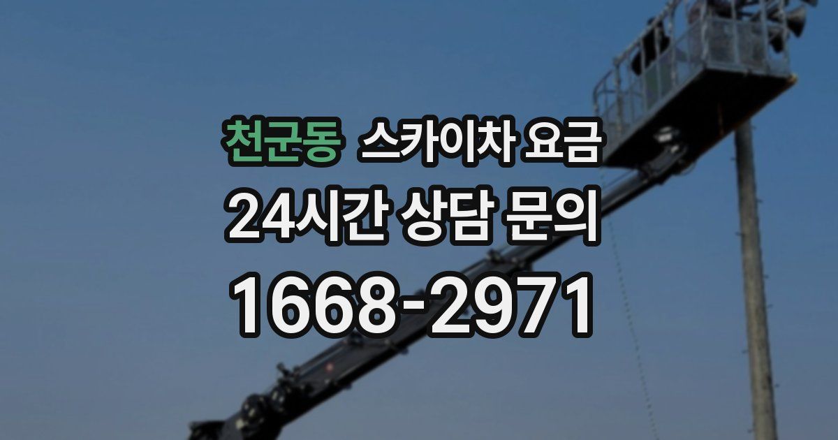 천군동 스카이차 요금