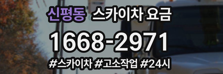 신평동 스카이차 요금