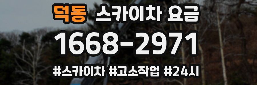덕동 스카이차 요금