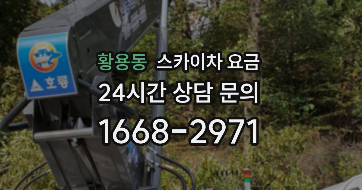 황용동 스카이차 요금