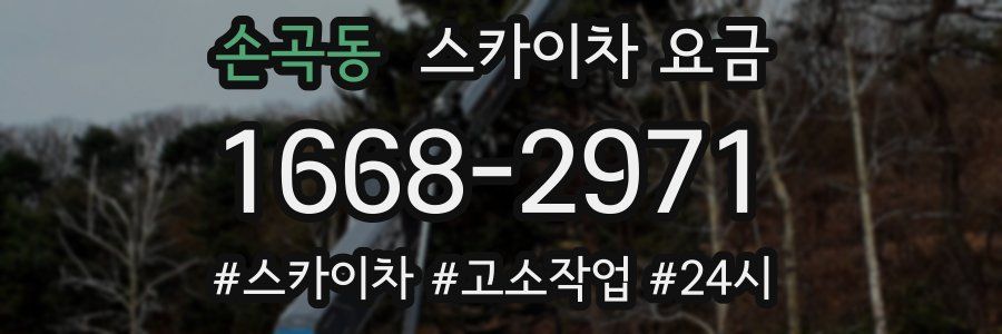손곡동 스카이차 요금
