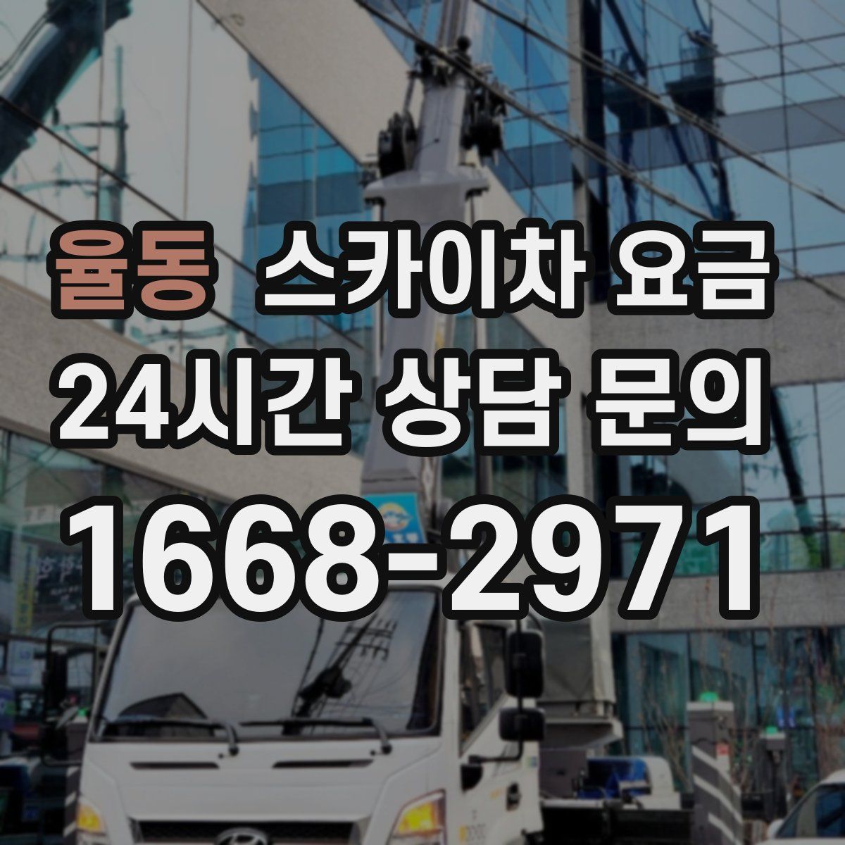 율동 스카이차 요금