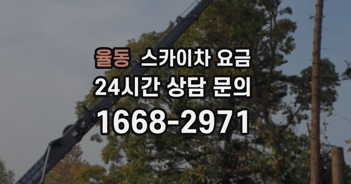 율동 스카이차 요금