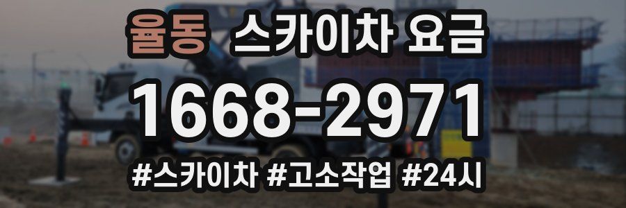 율동 스카이차 요금