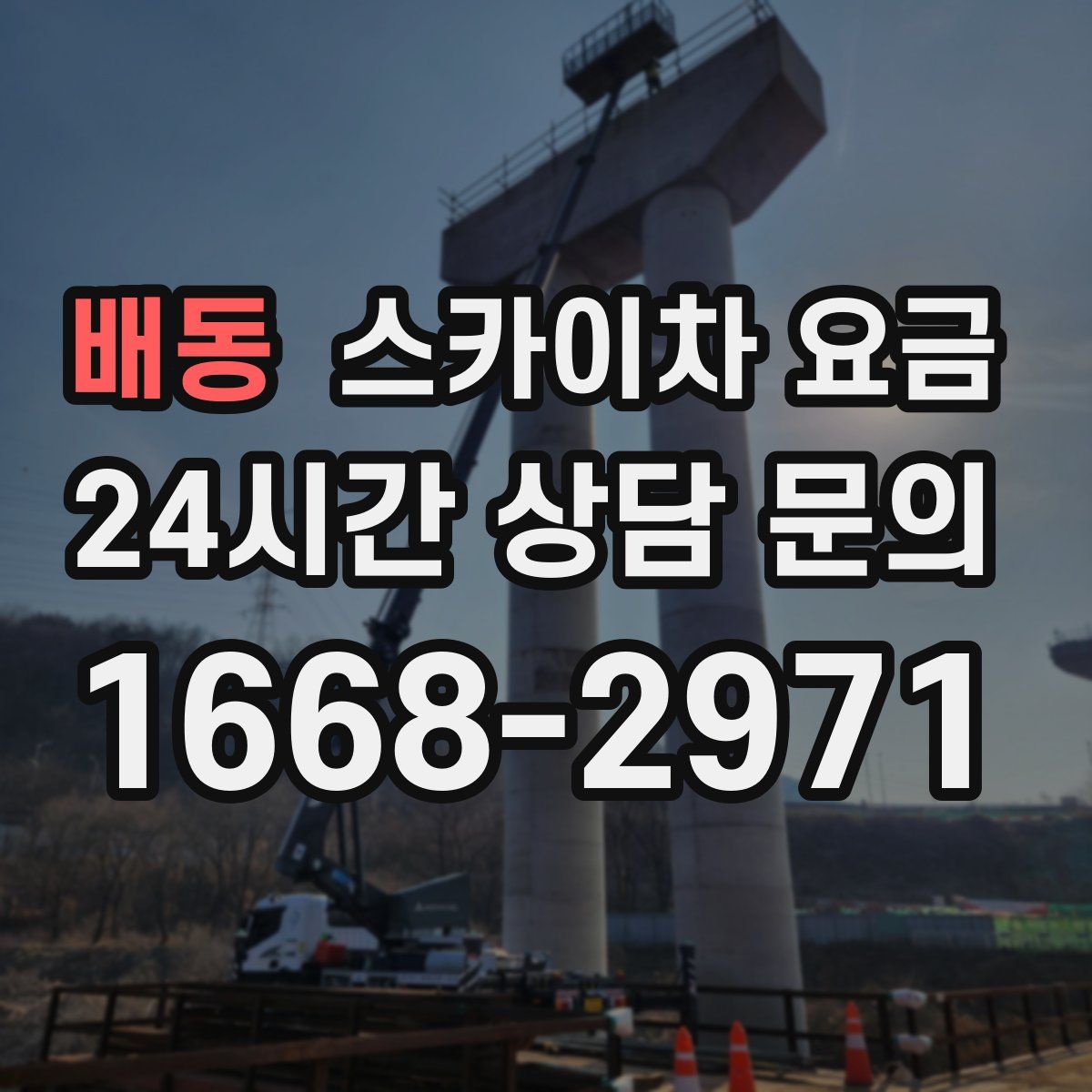 배동 스카이차 요금