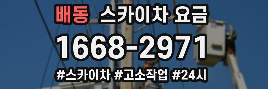 배동 스카이차 요금