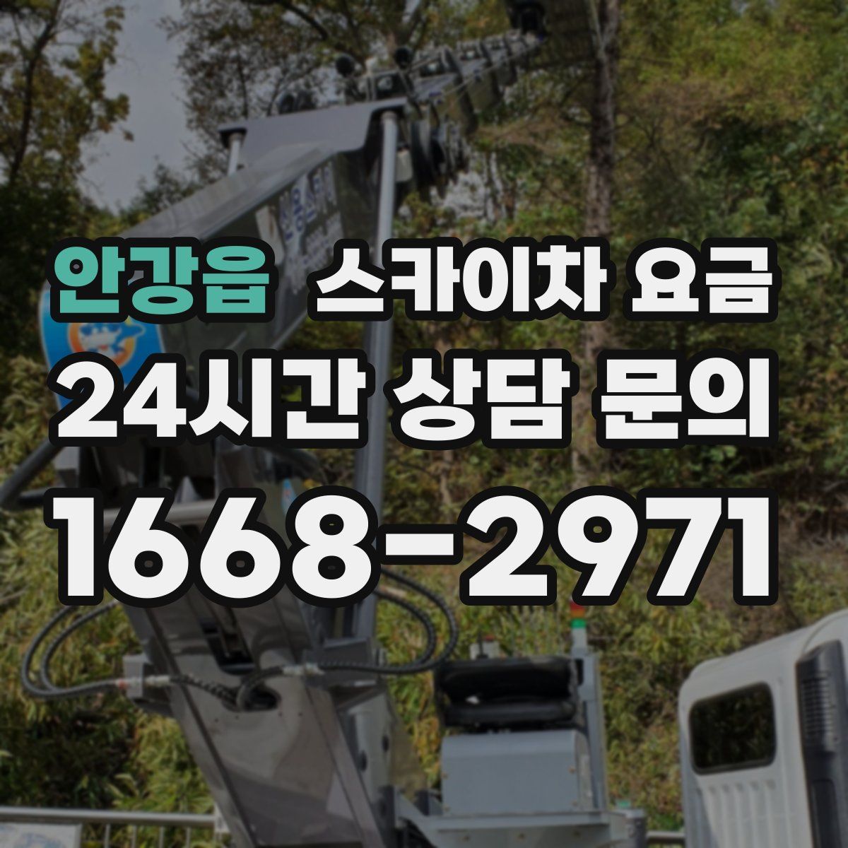 안강읍 스카이차 요금
