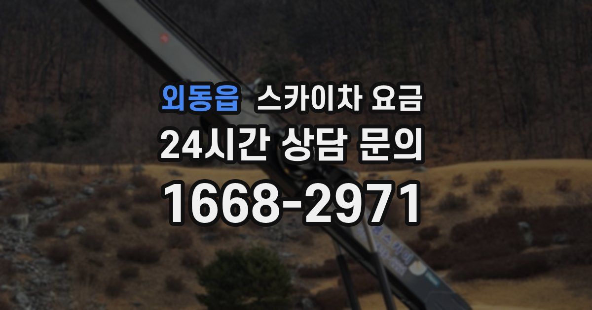 외동읍 스카이차 요금