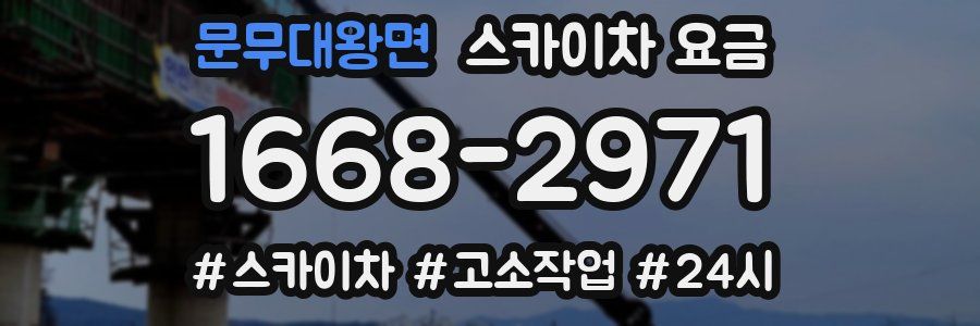 문무대왕면 스카이차 요금